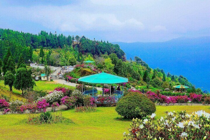 Day Trip to Kalimpong (Guided Private Sightseeing Experience from Darjeeling)