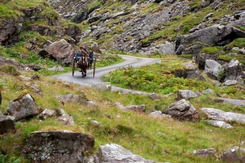Ring of Kerry & Killarney tour departing from Cork City. Guided. Full Day.