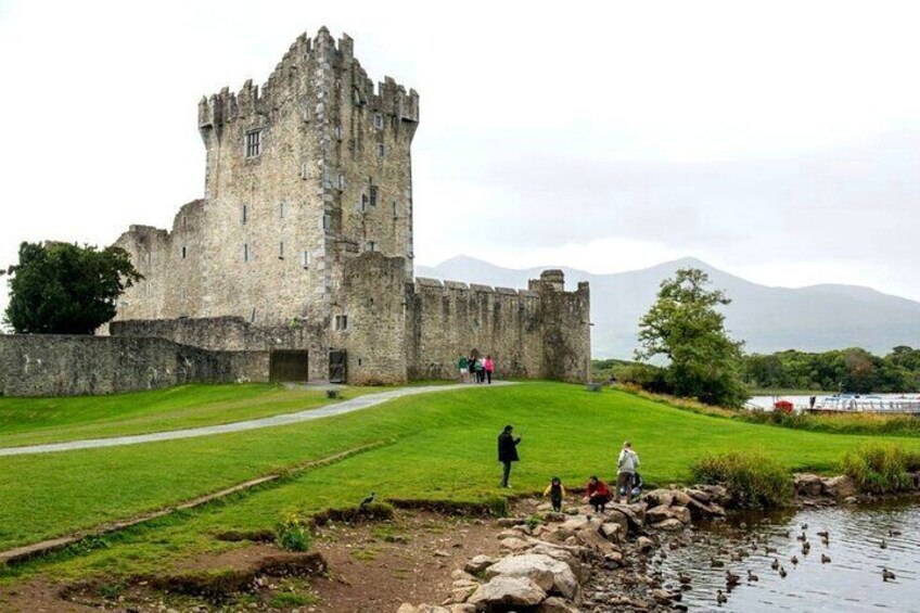 Ring of Kerry & Killarney tour departing from Cork City. Guided. Full Day.