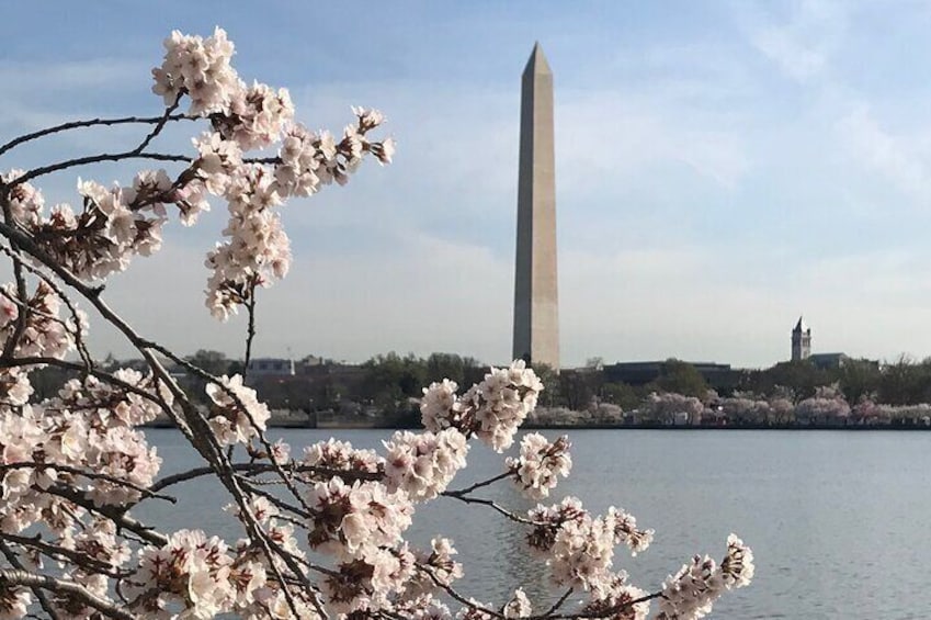Washington Monument from the Tidal Basin