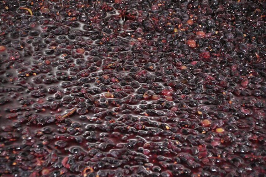 Private Full Day Tour Burgundy Gourmet