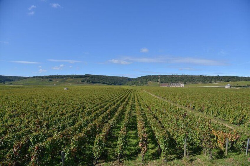 Private Full Day Tour Burgundy Gourmet