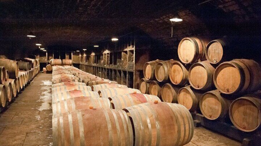 Multi Day Private Tour Prestige Burgundy with 12 Premiers & Grands Crus