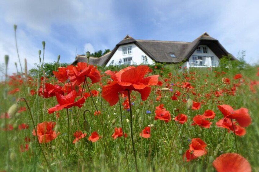 Usedom Private Walking Tour