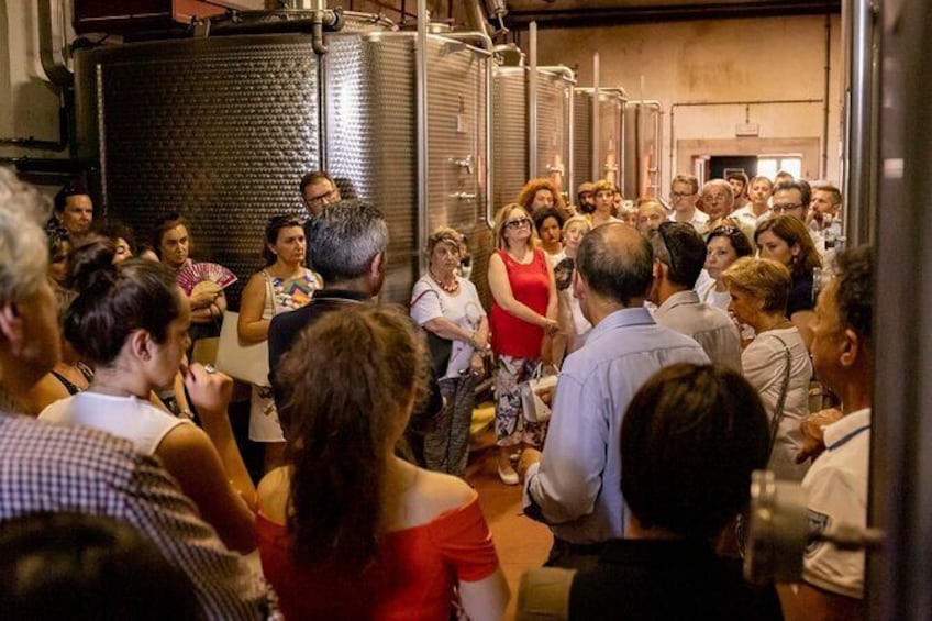 Show item 5 of 9. Private visit to vineyards and cellars with tasting in Pavia