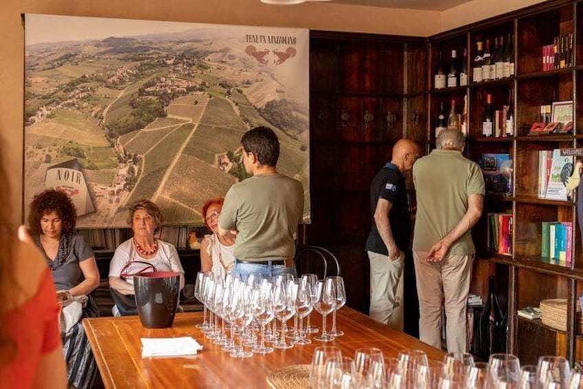 Show item 4 of 9. Private visit to vineyards and cellars with tasting in Pavia