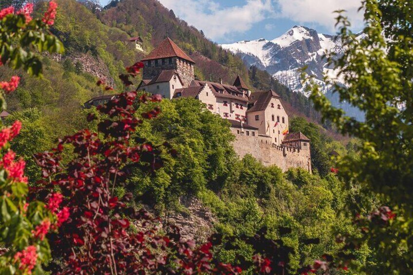 The Instagrammable Spots of Vaduz with a Local