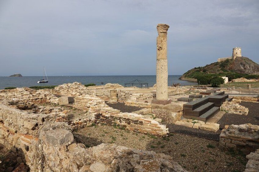 Tour to the archaeological site of Nora