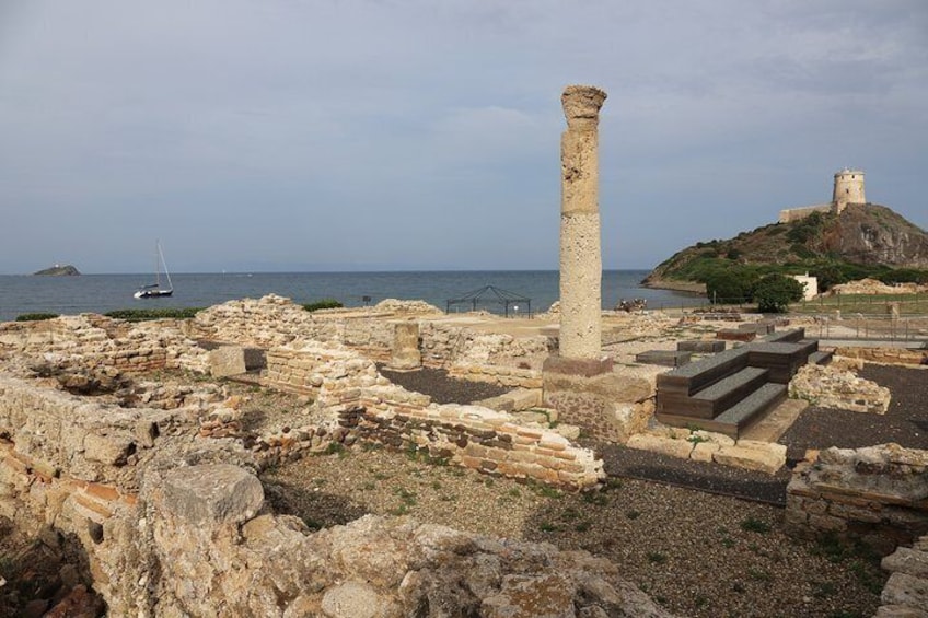 Tour to the archaeological site of Nora