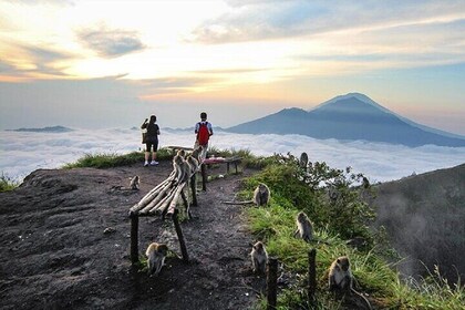 Sunrise Hike Mount Batur + Hotspring