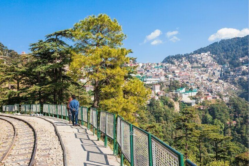 Experience the Best of Shimla with a local - Private 8 Hrs Tour in AC Car