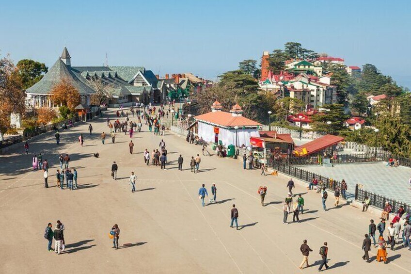 Experience the Best of Shimla with a local - Private 8 Hrs Tour in AC Car