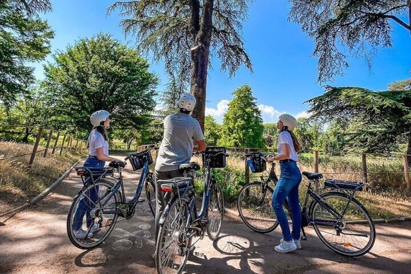 Bike ride in the Parc de la Tête d'Or - 2h