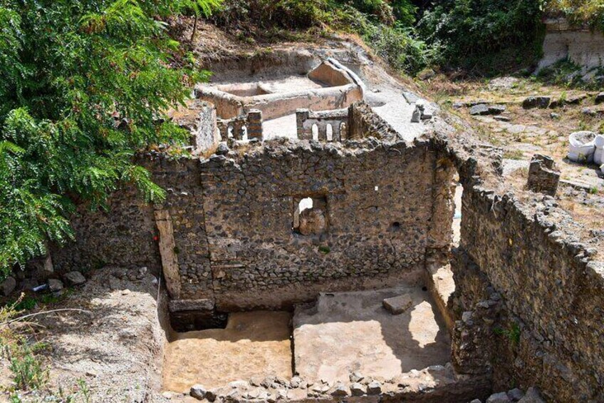 Pompeii Ruins w/ Two Vesuvian Wineries