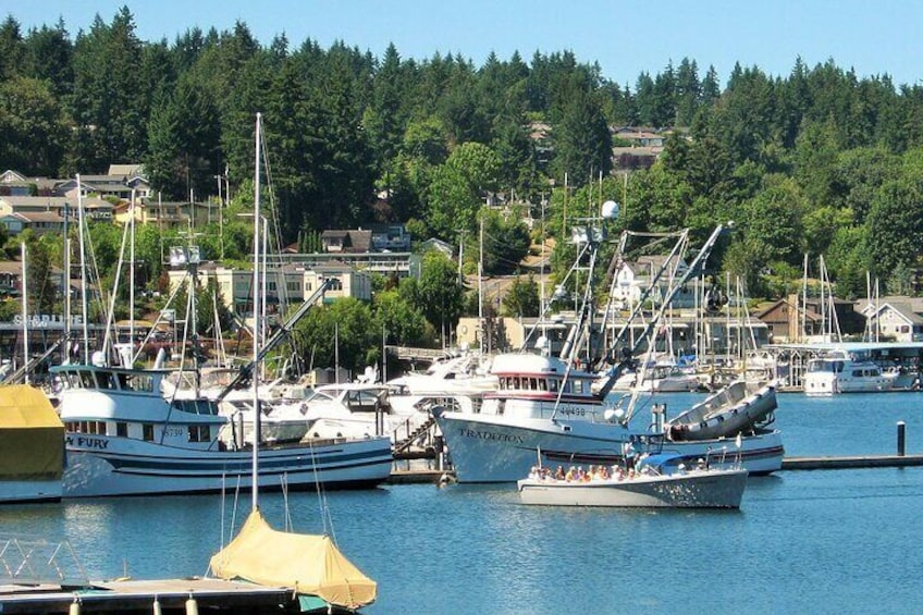 2 Hour Guided Boat Tour in Gig Harbor and Narrows Bridges
