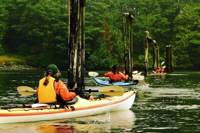 Ucluelet Harbour Tour