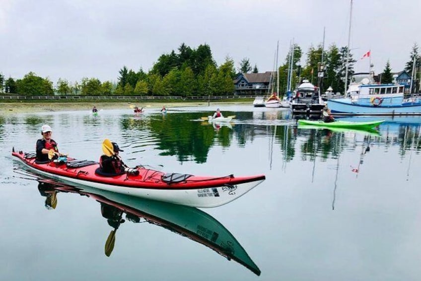 Show item 5 of 7. Ucluelet Harbour Tour