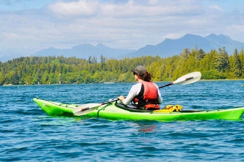 Ucluelet Harbour Tour