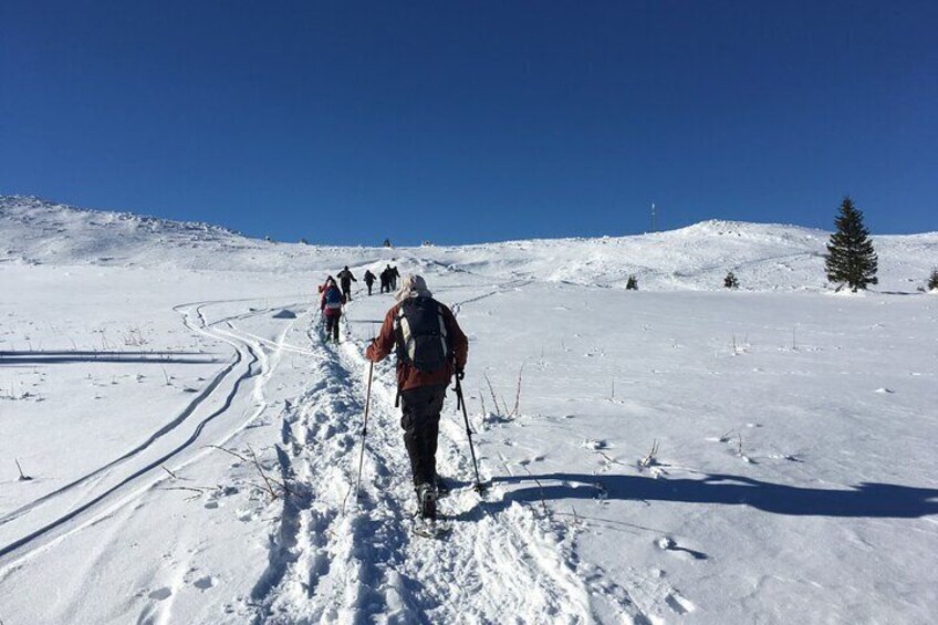 Full-day Vitosha Mountain Snowshoe Hiking Tour from Sofia