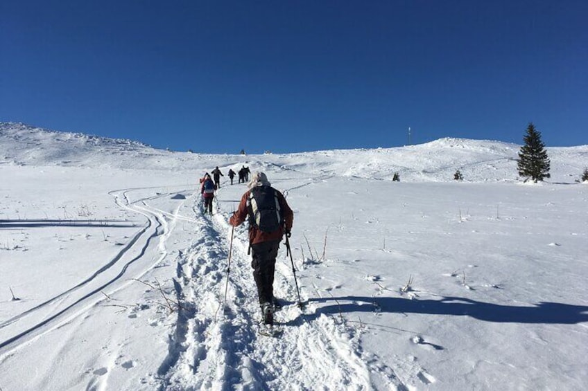 Full-day Vitosha Mountain Snowshoe Hiking Tour from Sofia