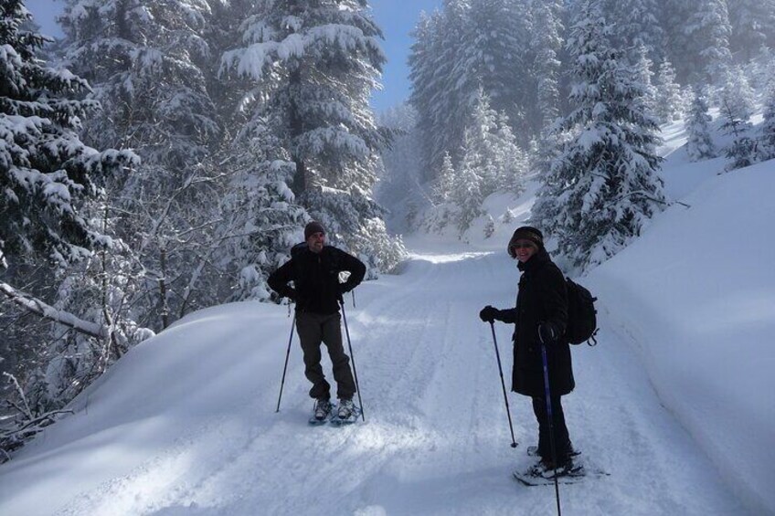 Full-day Vitosha Mountain Snowshoe Hiking Tour from Sofia