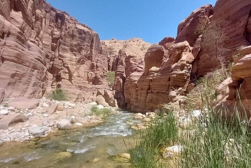 Wadi al Hasa Hiking Tour with locals