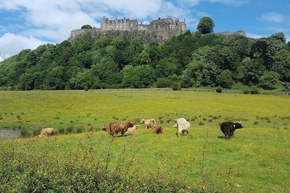 Stirling Castle, Trossachs, Loch Lomond and Whisky Tour