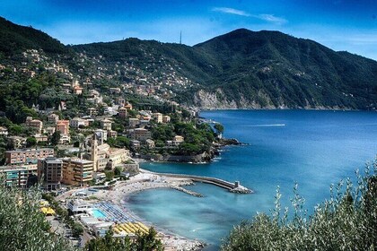 Genoa Private Walking Tour With A Professional Guide