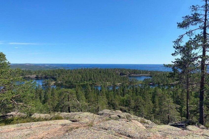 Hike in the world's highest coastline in central Sweden (Eco-Friendly)