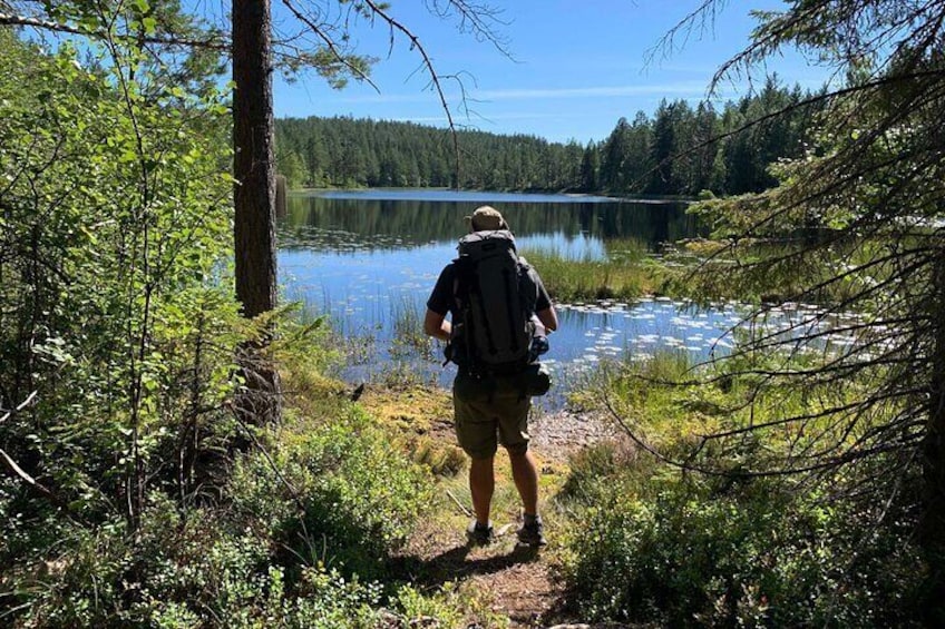 4-Day Hiking Adventure in Skuleskogen National Park (Höga Kusten)