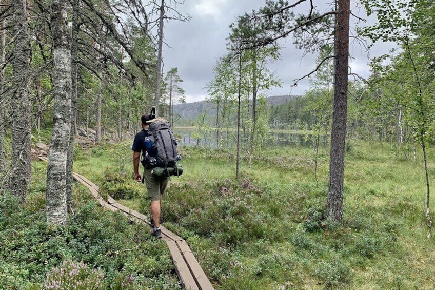 Hiking in the High Cost of Sweden - 4 Days