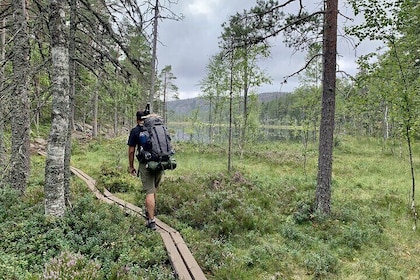 4-Day Hiking Adventure in Skuleskogen National Park (Höga Kusten)