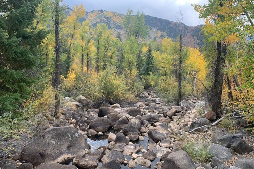 The Hunter Creek in Fall