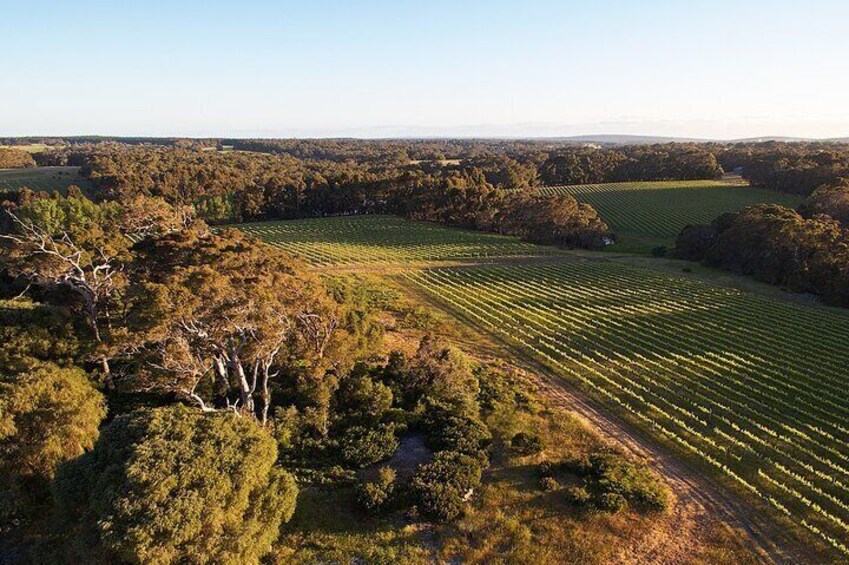 Passel Estate birds eye view