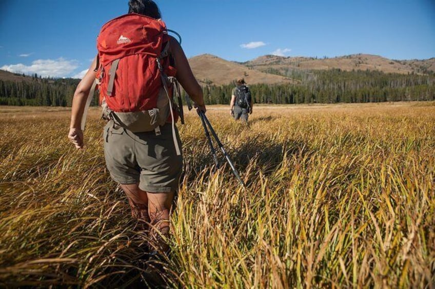 Show item 1 of 5. Full-Day Private Hike in Yellowstone National Park