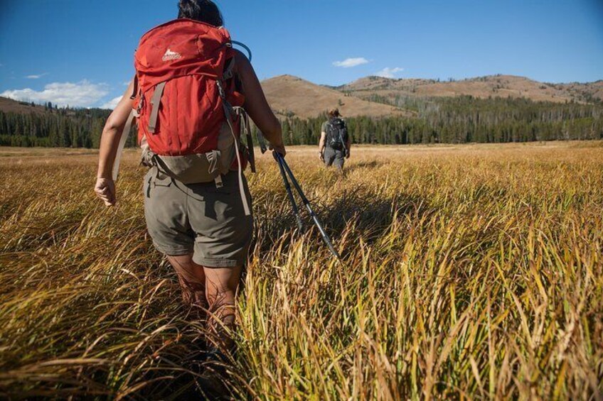 Full-Day Private Hike in Yellowstone National Park