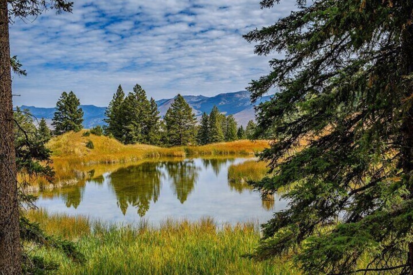 Full-Day Private Hike in Yellowstone National Park