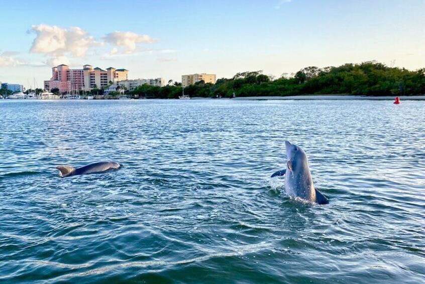 Half-Day Private Tiki Boat Beach Tour from Fort Myers