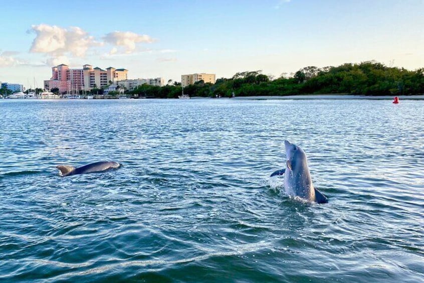 Half-Day Private Tiki Boat Beach Tour from Fort Myers