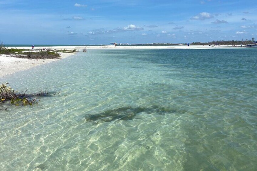 Half-Day Private Tiki Boat Beach Tour from Fort Myers
