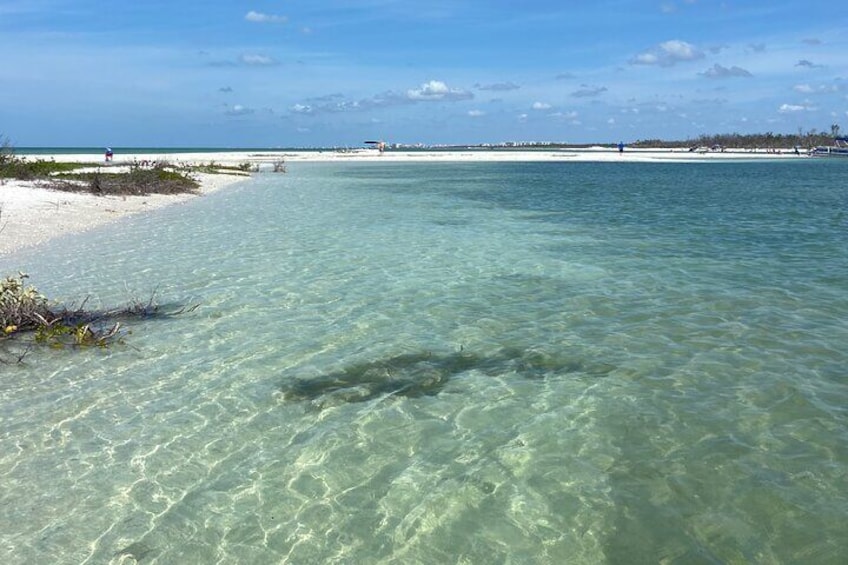 Half-Day Private Tiki Boat Beach Tour from Fort Myers