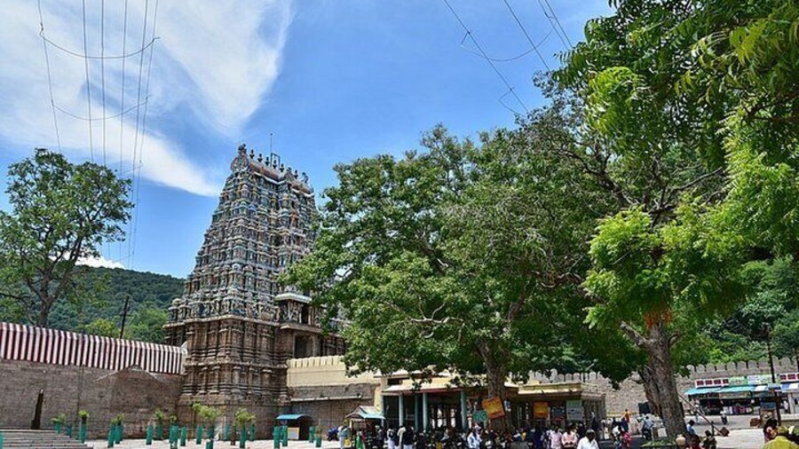 Nature & Spiritual Trails of Madurai