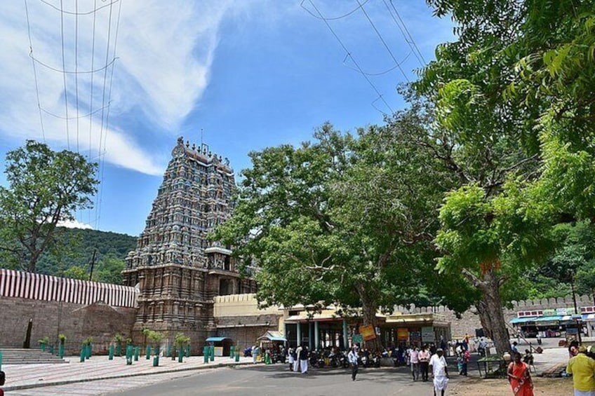 Nature & Spiritual Trails of Madurai (2 Hours Guided Walking Tour)