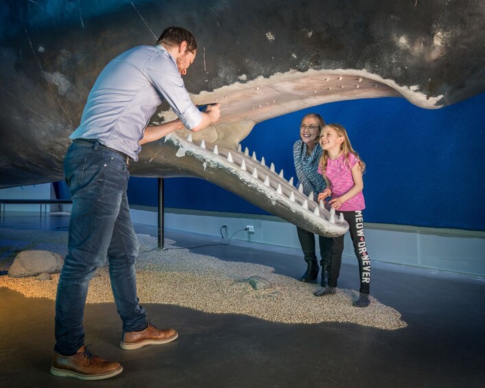 Carregar foto 4 de 5. Whales of Iceland A Giant Experience