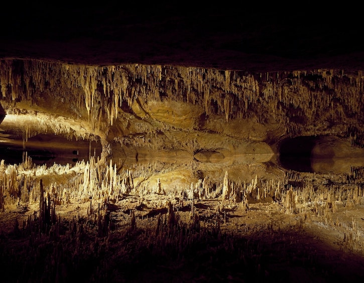 Luray Caverns