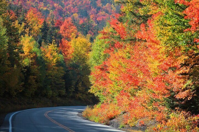 Kancamagus Scenic Byway Audio Driving Tour Guide