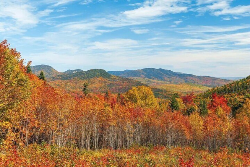 Kancamagus Scenic Byway Audio Driving Tour Guide