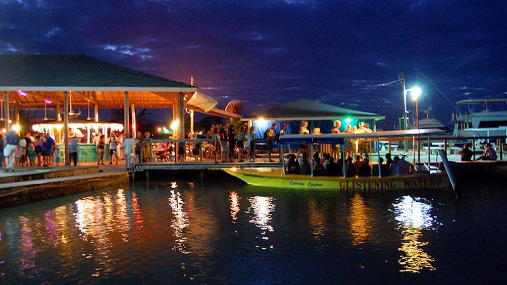 Boarding dock for tour boats at night filled with several people.