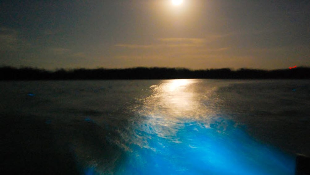 View of water illuminating from boat.