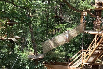 Tree Top Adventure in Forest of Meudon